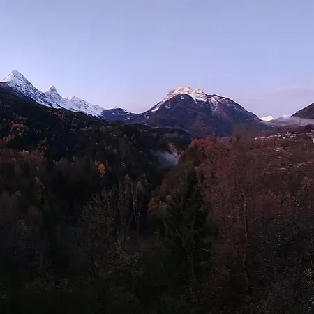 Reddish Deer House ::: Cadore Dolomiti 아파트 *