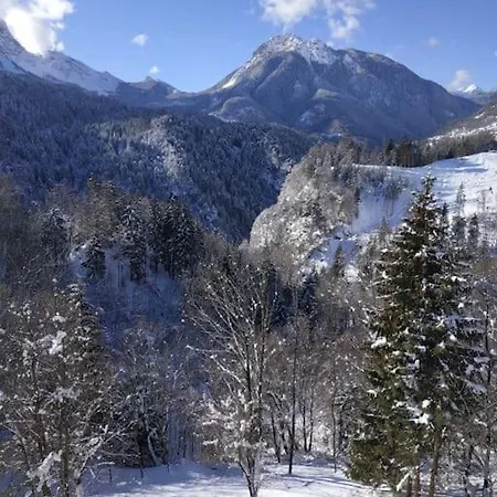Reddish Deer House ::: Cadore Dolomiti Apartment Valle di Cadore