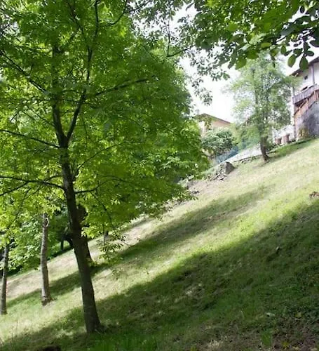 Reddish Deer House ::: Cadore Dolomiti 아파트 *