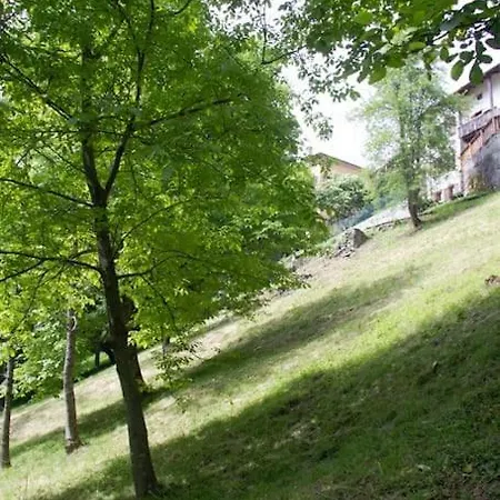 Reddish Deer House ::: Cadore Dolomiti Apartmán *