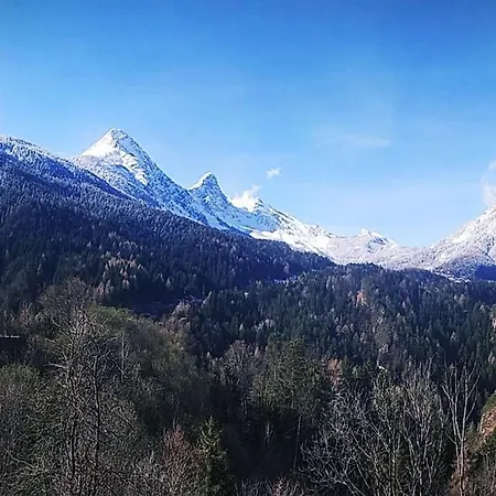 Reddish Deer House ::: Cadore Dolomiti شقة فالي دي كادوري